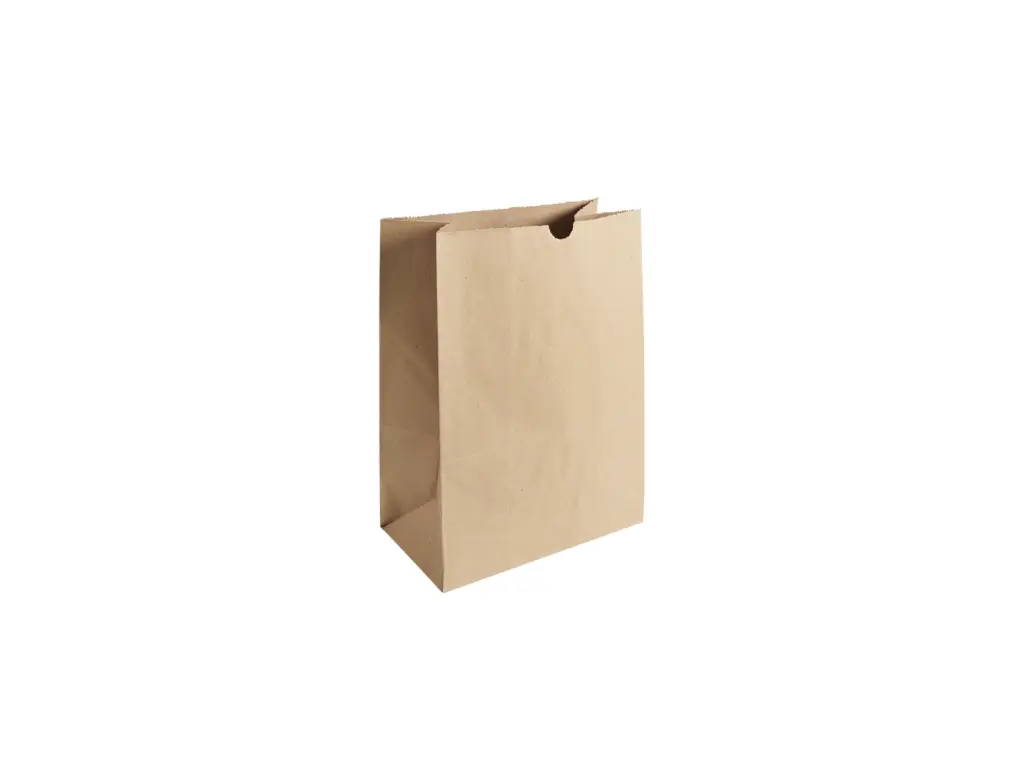 Bolsa Kraft Grande (No. 45) Pz  