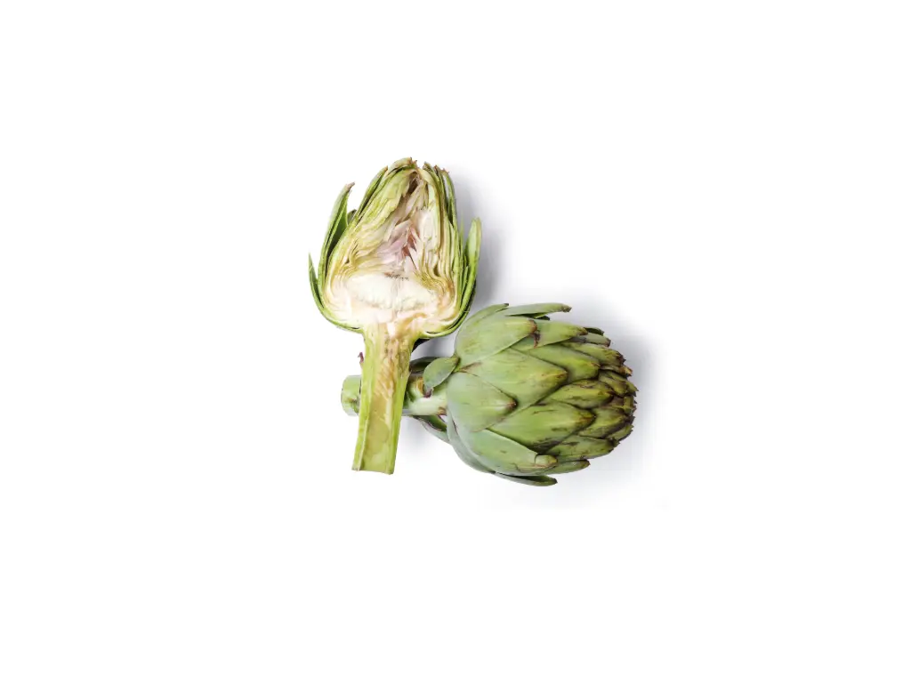 Alcachofa Manojo   
