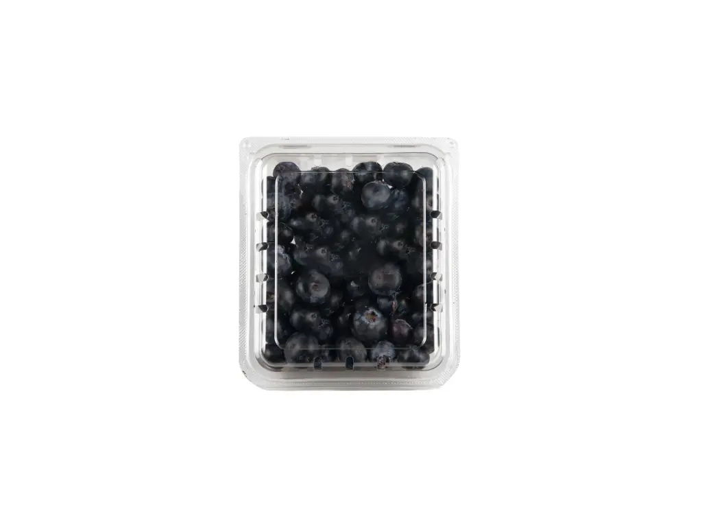 Blueberry	Domo 170 g 