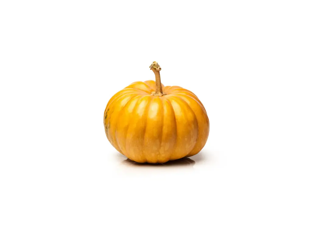 Calabaza de Castilla Pieza 