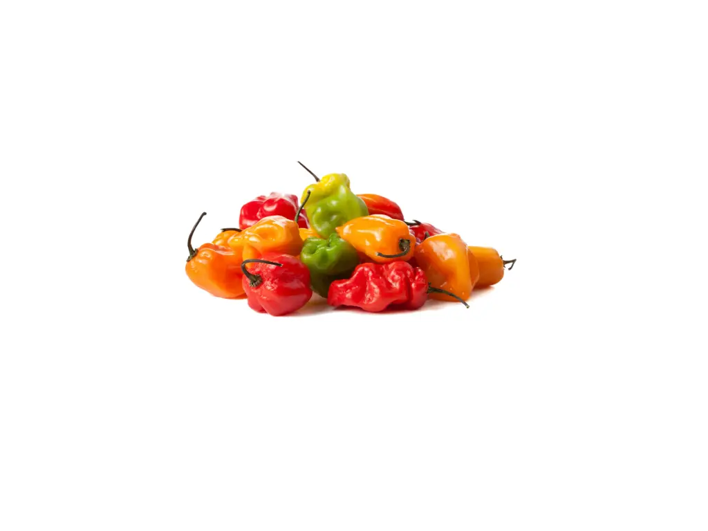 Chile Habanero Kg