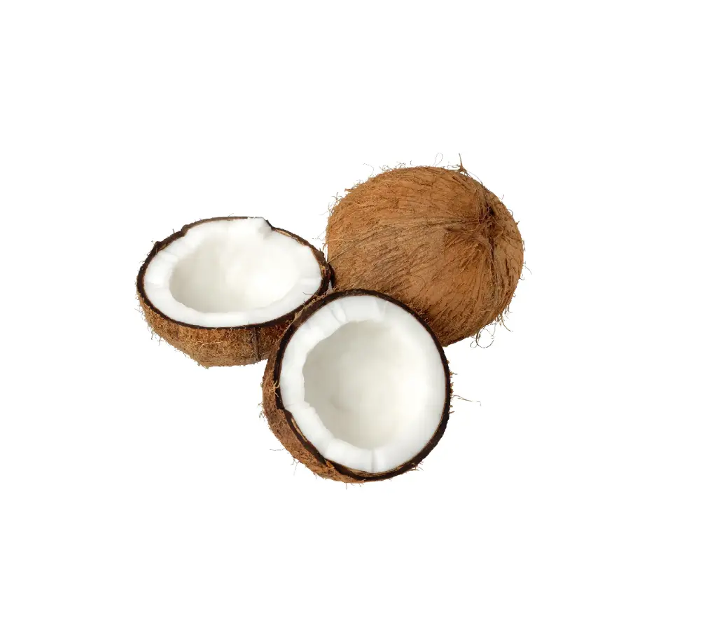 Cocos Pieza 