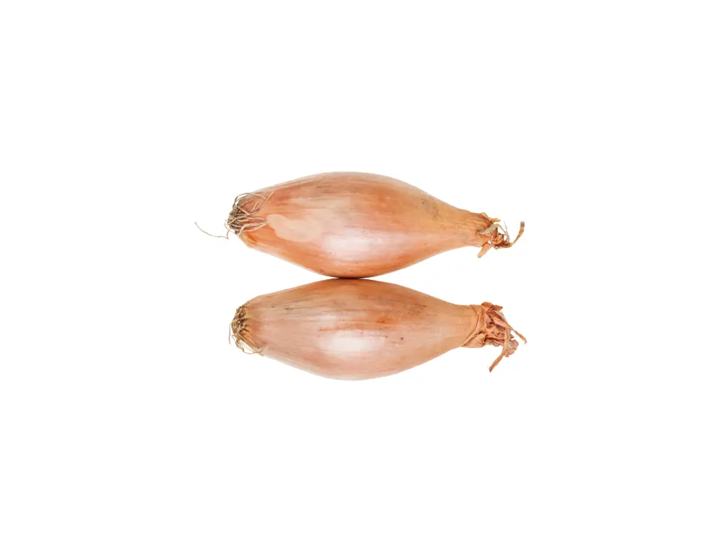 Echalott Kg 