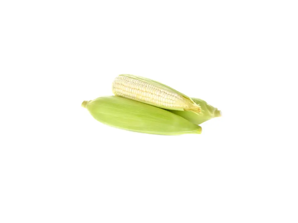 Elote Entero Blanco Pieza