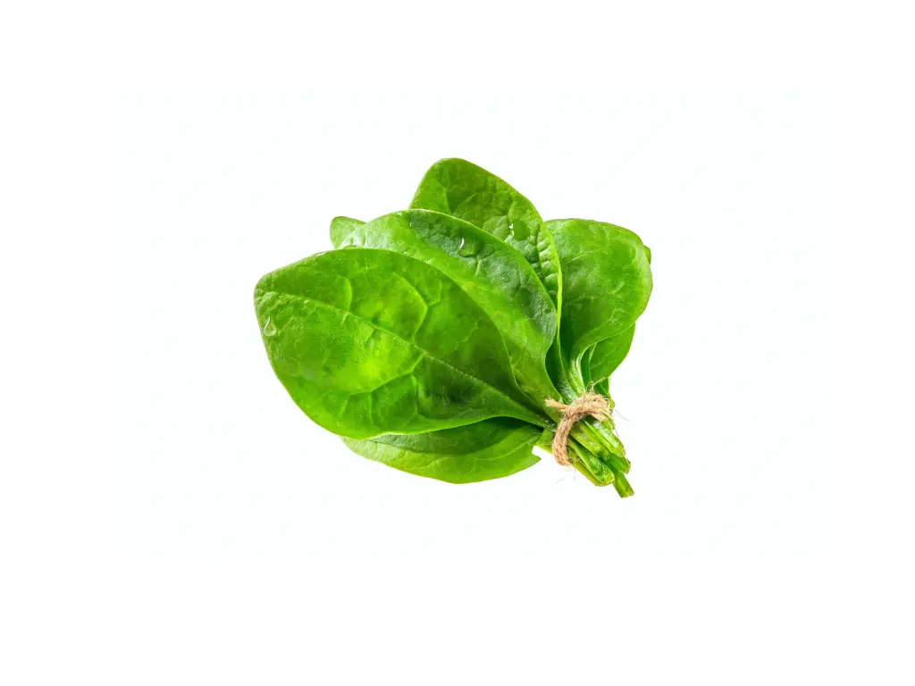 Espinaca Manojo 