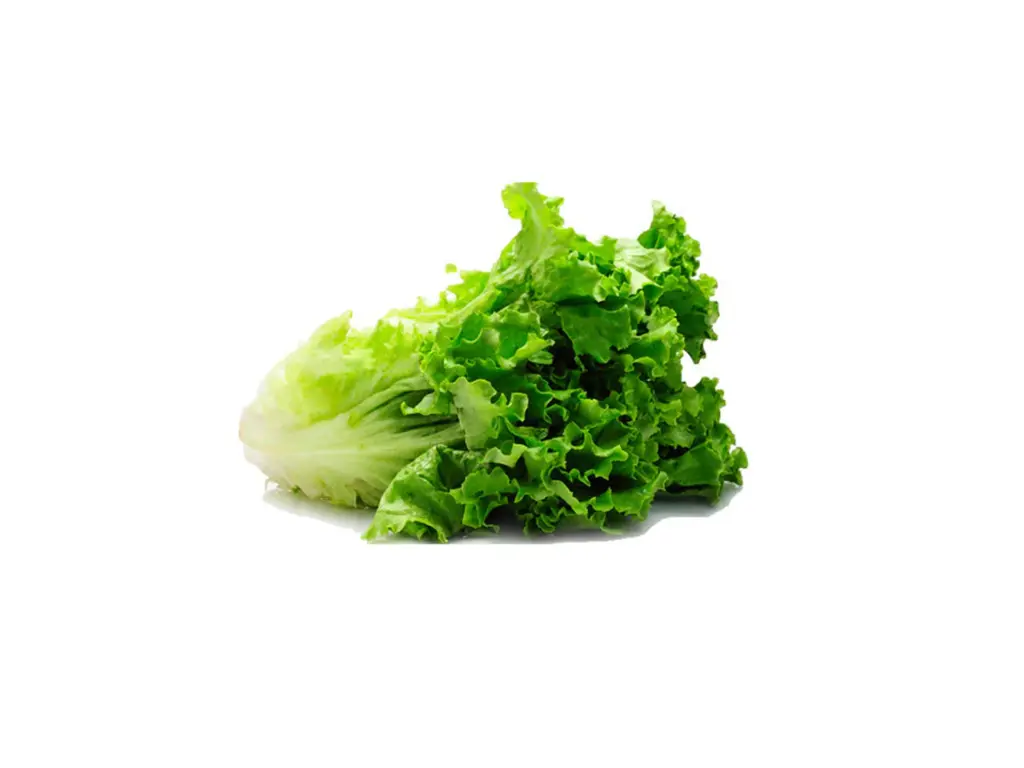 Lechuga Italiana Pieza  