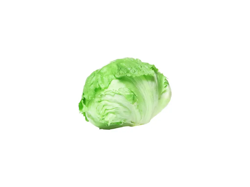 Lechuga Romana Pieza  