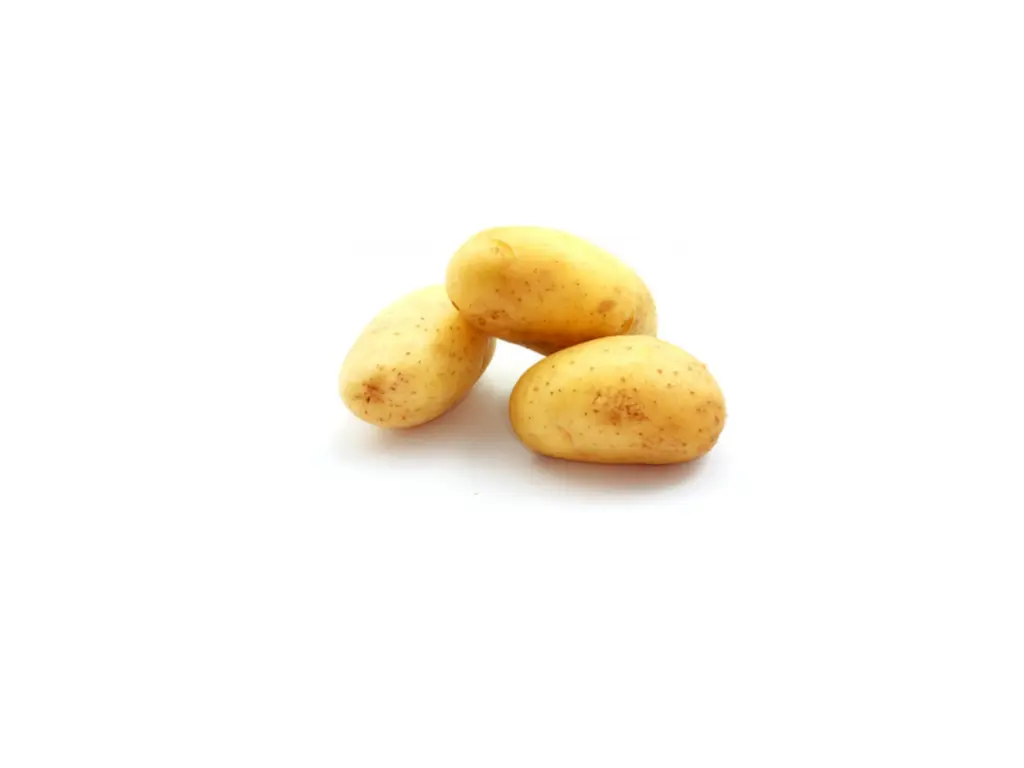 Papa Alpha / Blanca (1a)	Kg 