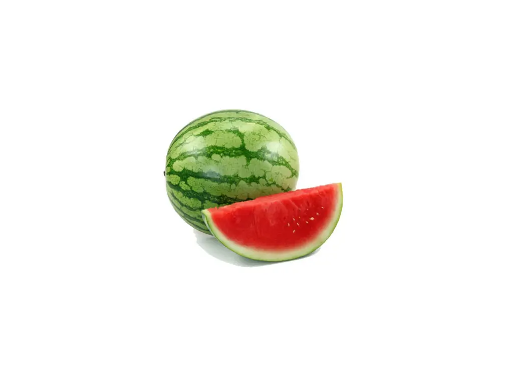 Sandia Personal Kg 