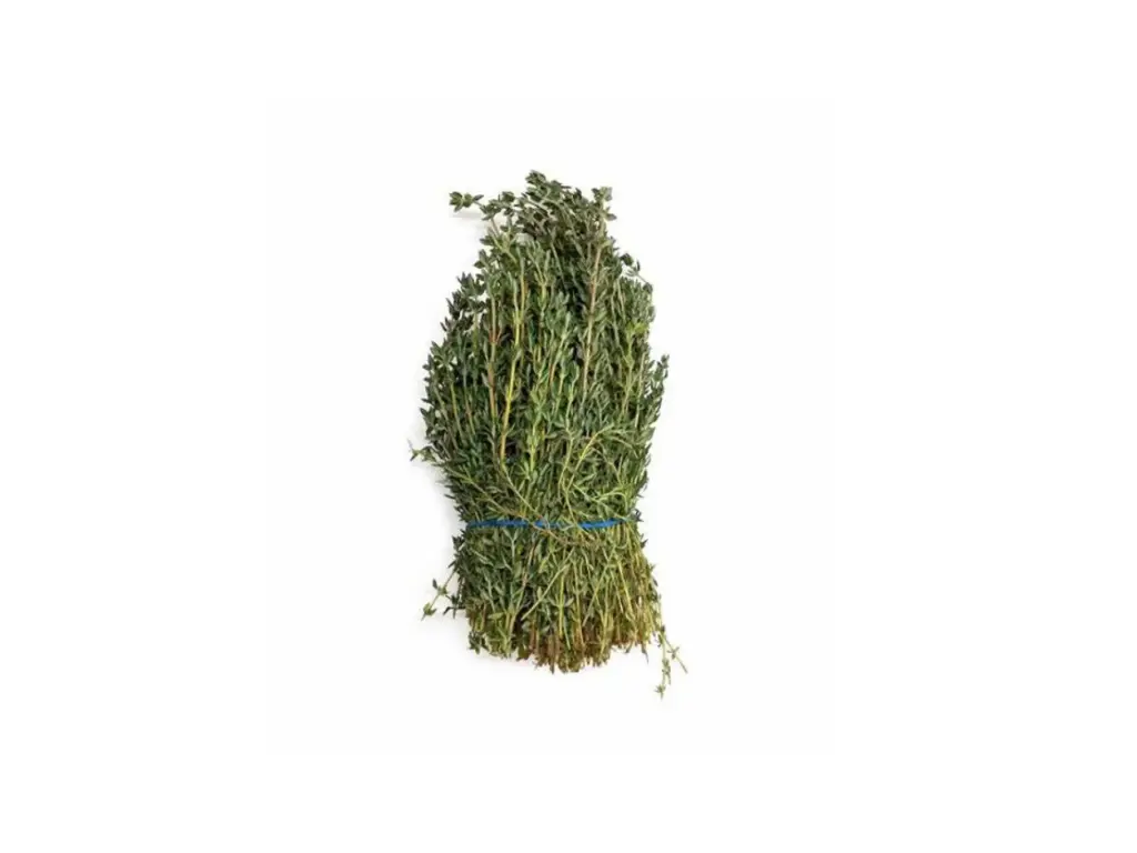 Tomillo fresco	Manojo 