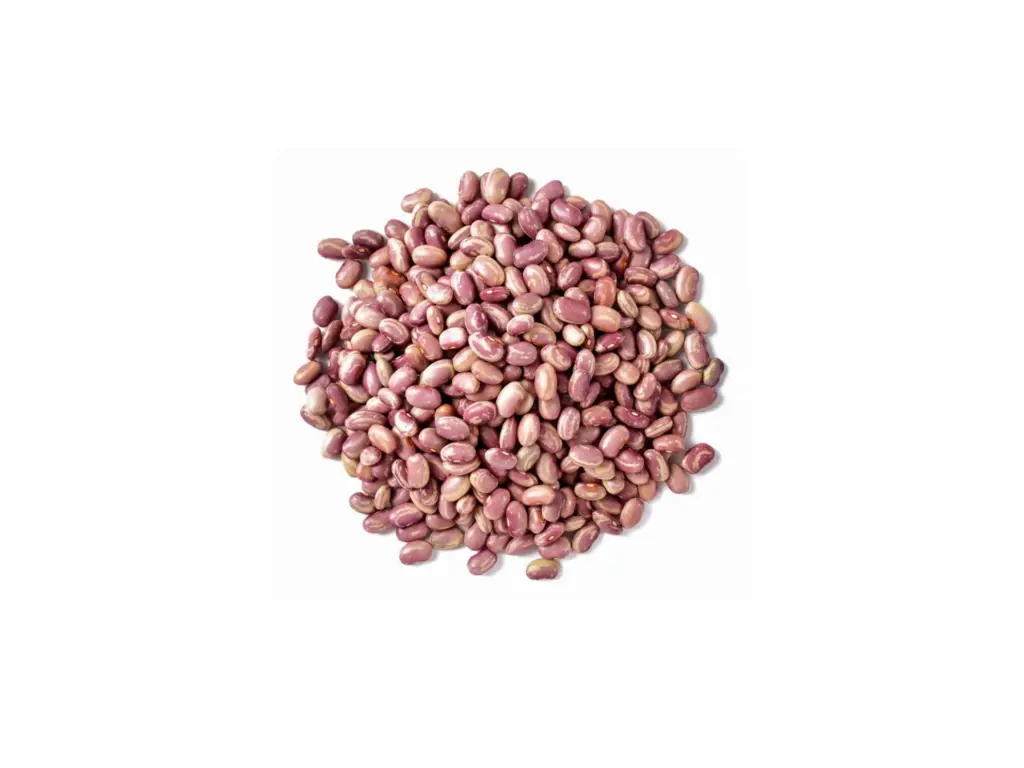 Frijol Flor de Junio kg 