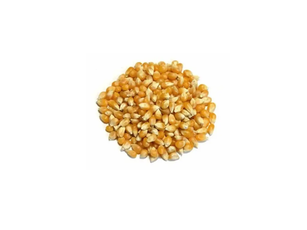 Maíz palomero kg 